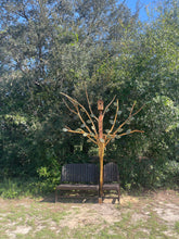 Load image into Gallery viewer, The ACE Tree