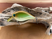 Load image into Gallery viewer, Mud Puppy (FSWD)