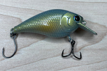 Load image into Gallery viewer, Mud Puppy (FSWD)