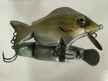 Load image into Gallery viewer, The Perfect Pinfish