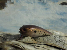 Load image into Gallery viewer, Mud Puppy (FSWD)