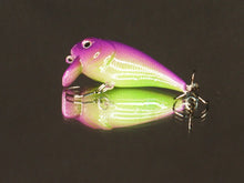 Load image into Gallery viewer, shiftcolorsbait.com purple green custom, hand painted lures