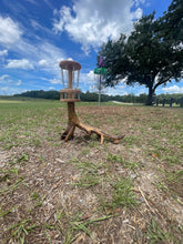 Load image into Gallery viewer, Disc Golf Trophy / Decor
