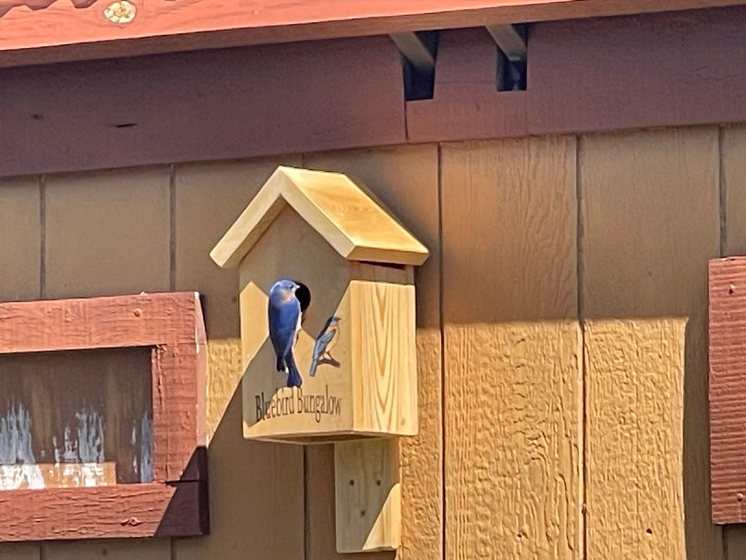 Birdhouse Mount Kit