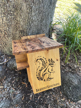 Load image into Gallery viewer, Squirrel Sanctuary
