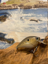 Load image into Gallery viewer, Mud Puppy (FSWD)
