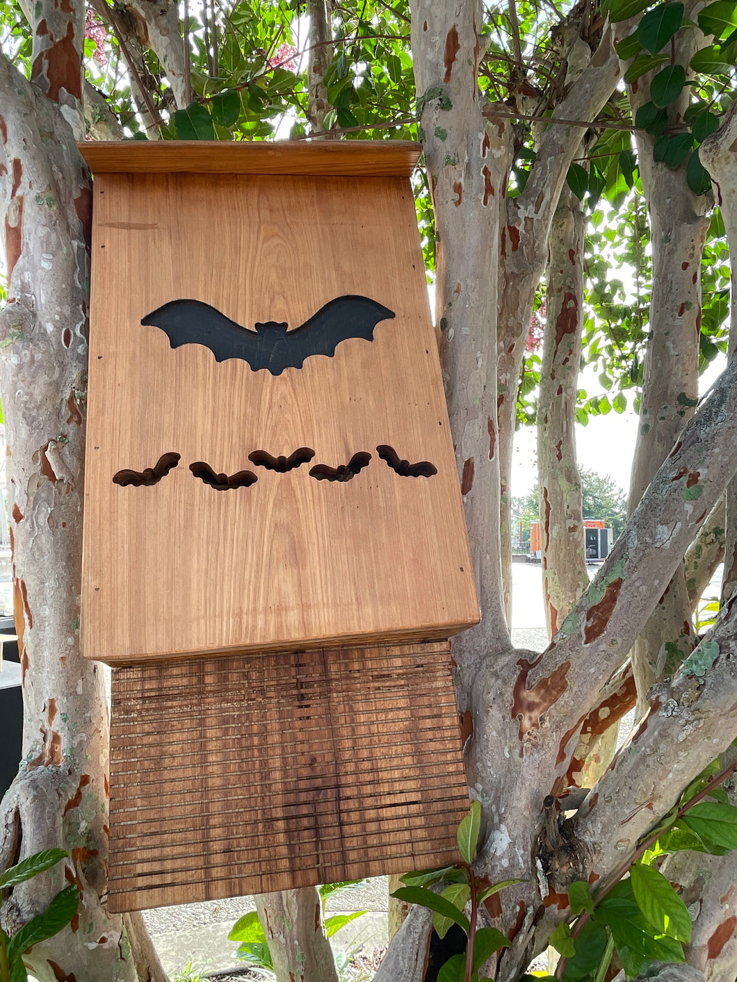 Beautiful Bat House