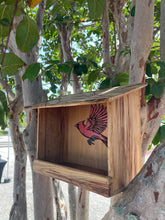 Load image into Gallery viewer, Cardinal Nest Box / Tray Feeder
