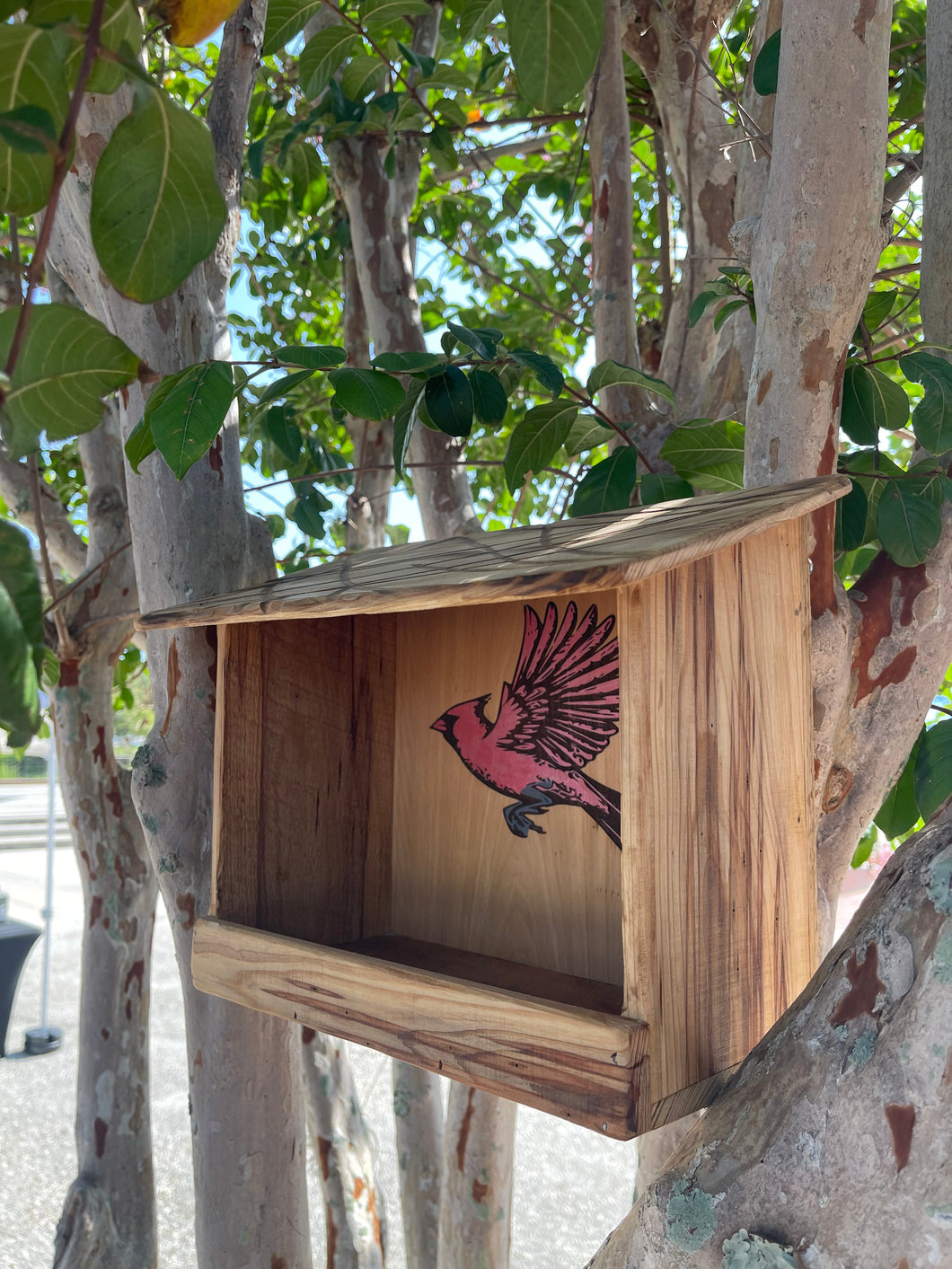 Cardinal Nest Box / Tray Feeder