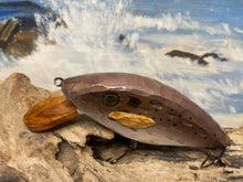 Load image into Gallery viewer, The Magnificent Menhaden
