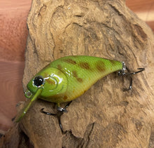 Load image into Gallery viewer, Mud Puppy (FSWD)
