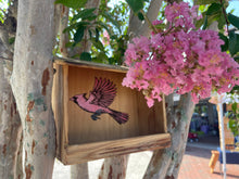 Load image into Gallery viewer, Cardinal Nest Box / Tray Feeder
