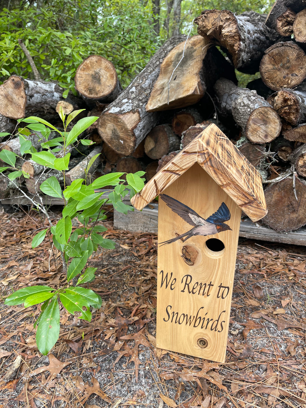 Snowbird Birdhouse