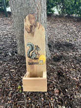 Load image into Gallery viewer, Squirrel Bar
