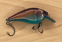 Load image into Gallery viewer, Mud Puppy (FSWD)
