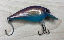 Load image into Gallery viewer, Mud Puppy (FSWD)
