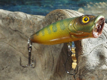 Load image into Gallery viewer, ShiftColorsBait.com Gator Freighter Custom lure Green Tiger
