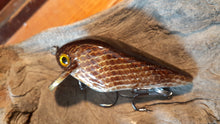 Load image into Gallery viewer, Mud Puppy (FSWD)
