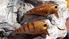Load image into Gallery viewer, Mud Puppy (FSWD)
