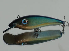 Load image into Gallery viewer, shiftcolorsbait.com Two Charlie sardine wood lures
