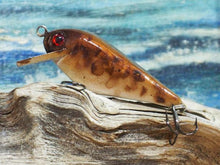 Load image into Gallery viewer, Mud Puppy (FSWD)
