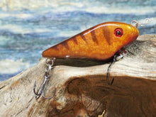 Load image into Gallery viewer, Mud Puppy (FSWD)

