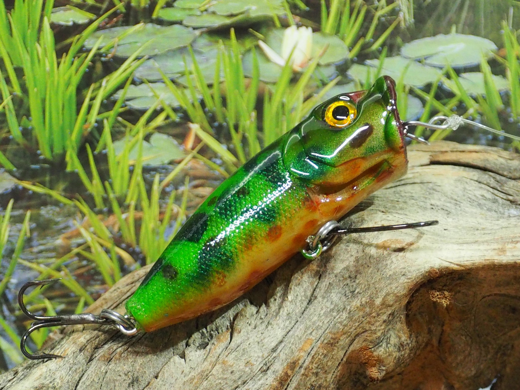 Five Frogs on a Log – Shift Colors Bait Works, LLC