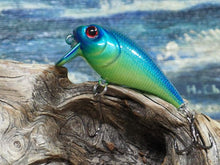 Load image into Gallery viewer, Mud Puppy (FSWD)

