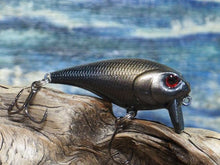 Load image into Gallery viewer, Mud Puppy (FSWD)
