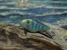 Load image into Gallery viewer, Mud Puppy (FSWD)
