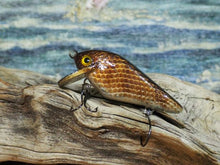 Load image into Gallery viewer, Mud Puppy (FSWD)
