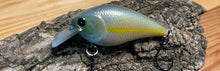 Load image into Gallery viewer, Mud Puppy (FSWD)
