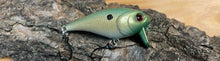 Load image into Gallery viewer, Mud Puppy (FSWD)
