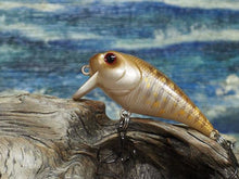 Load image into Gallery viewer, Mud Puppy (FSWD)
