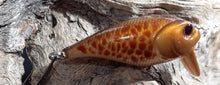 Load image into Gallery viewer, Mud Puppy (FSWD)
