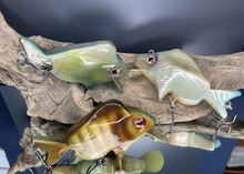 Load image into Gallery viewer, The Perfect Pinfish
